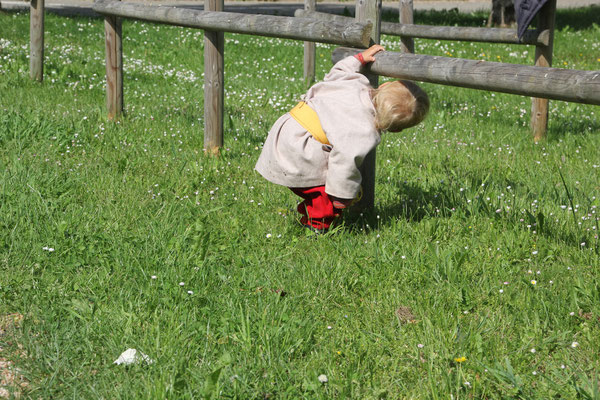 Sarah beim Entdecken, Beuron