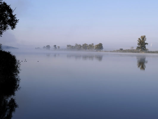 Stpl. Widuchova, Oder