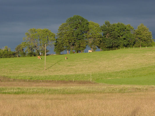 Abendstimmung am Bauernhof