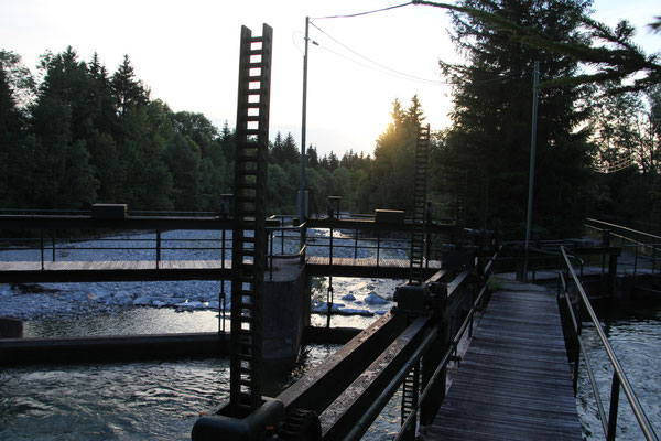 Standplatz Bruckschmied Ostallgäu