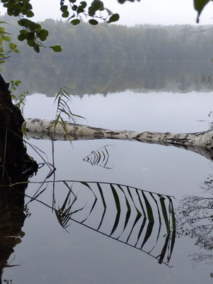 Großensee im Regen