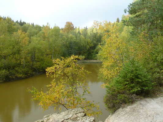 Naturschutzgebiet alter Steinbruch Nähe Sennhütte