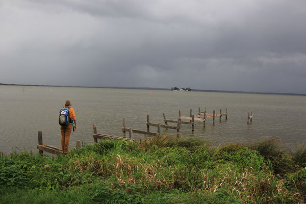 Steinhudermeer