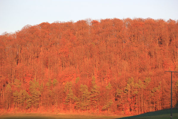 letztes Sonnenlicht