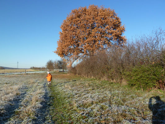 Winteranflug