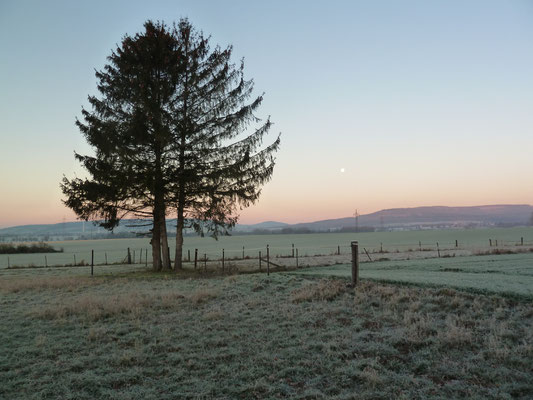 Abendstimmung Garten