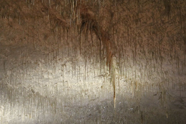 Höhle Postojna Spaghettisaal