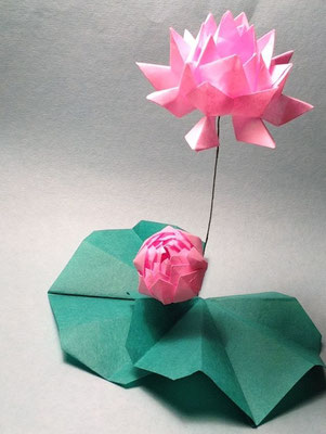 Love Lotus, flower designed by Teru Kutsuna, leaf designed by Kunihiko Kasahara, folded and arranged by Teru Kutsuna. 愛の蓮。花・沓名輝政創作、葉・笠原邦彦創作、沓名輝政制作。花・小川和紙（15cm x 15cm）x 2、葉・小川和紙（15cm x 15cm）x 2。