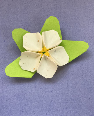 #origami #plumeria designed and folded by Teru Kutsuna. #origaminowa