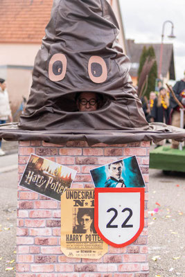 Flugsportgemeinschaft - Harry Potter