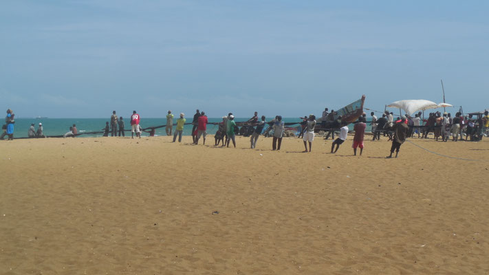 Pêcheurs qui remontent leur filet