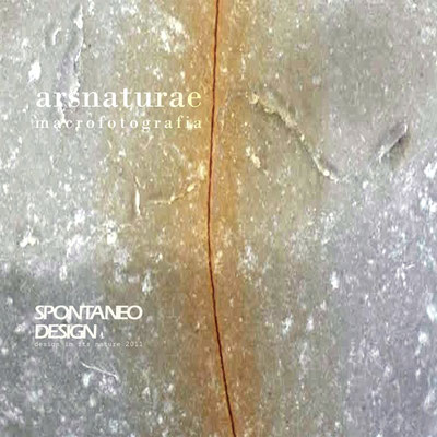 ARS NATURAE -  Macrofotografia per carta - tessuti. Il nome deriva da omnis ars naturae imitatio est di Seneca significa, tutta l'arte è imitazione della natura.