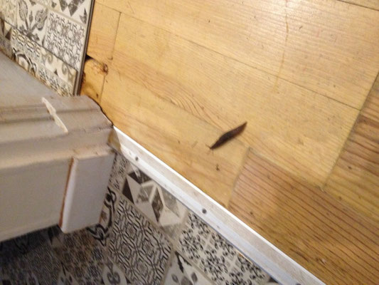 Les ravages de la mérule dans notre habitation