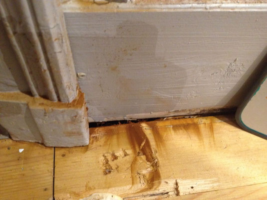 Les ravages de la mérule dans notre habitation