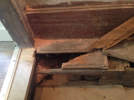 Les ravages de la mérule dans notre habitation