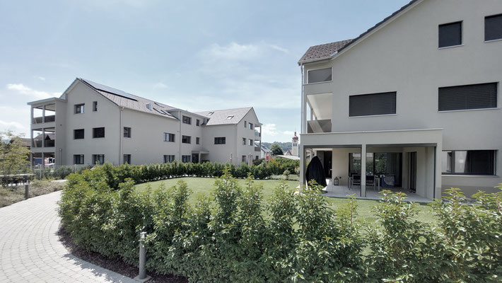 2 MFH Libelle Aesch
