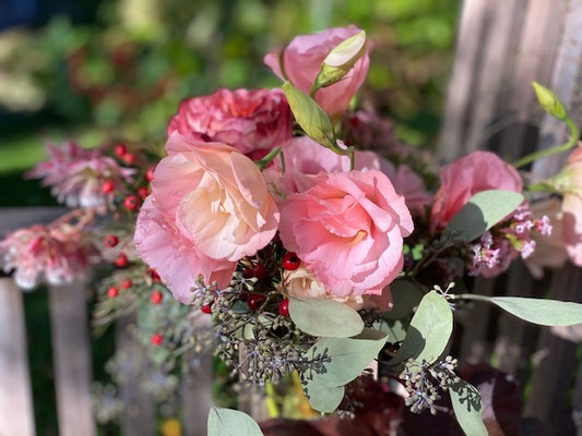 Hortensien, Dahlien, Astern und mehr