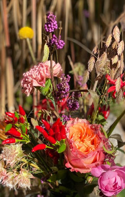 Herbstrausch in voller Pracht