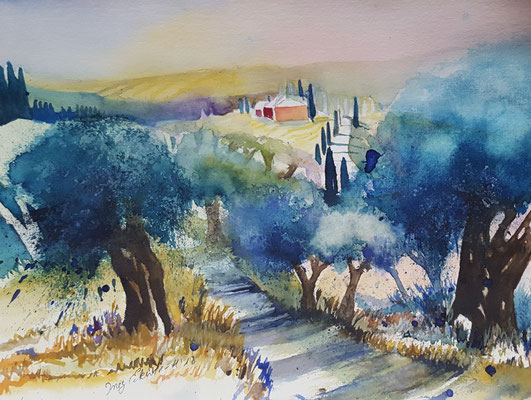 Olivengarten Toskana 2018 Aquarell, 32 x 24 cm