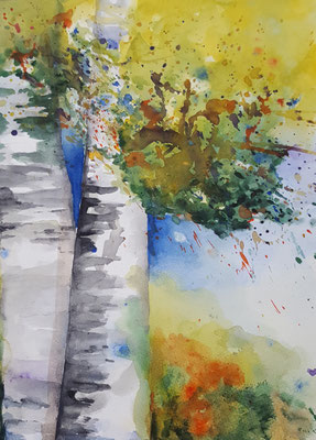 Birken 2017 Aquarell 36 x 48 cm
