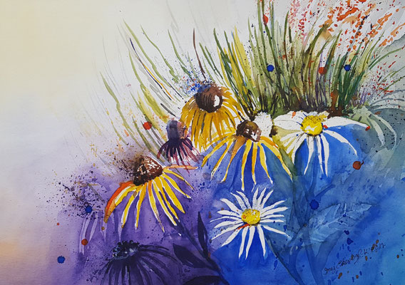 Sonnenhut 2017 Aquarell 36 x 48 cm