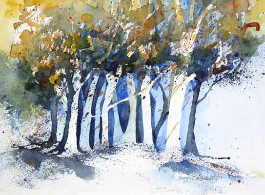 Bäume 2013  Aquarell 30 x 40 cm