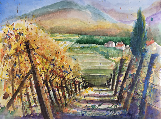Weinreben bei Kaltern Südtirol Aquarell 2023 48 x 36 cm Inez Eckenbach-Henning