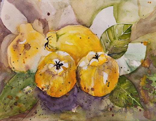 Quitten, Aquarell 2022, 32 x 24 cm Inez Eckenbach-Henning