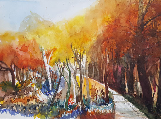 Herbstwald 2018 Aquarell 24 x 32 cm