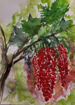 Johannisbeeren, Aquarell 2022, 24 x 32 cm Inez Eckenbach-Henning