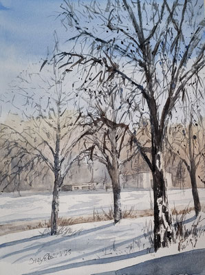 Blick auf Birkenecker Wäldchen Hallbergmoos Aquarell 2025 24x32 cm
