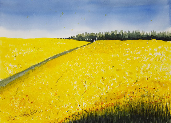 Rapsfeld 30 x 40 cm - verkauft