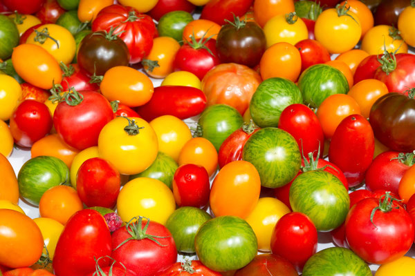 Cocktailtomaten