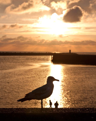 Den Haag, Scheveningen-8
