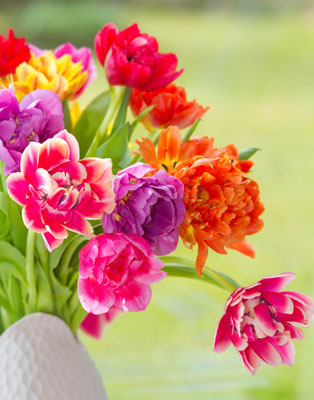 Tulpenstrauß-7