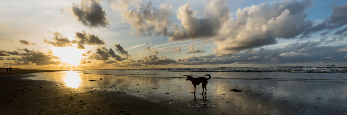 Ameland 53°27'45.066" N 5°48'8.981" E