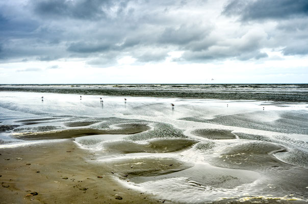 Ameland 53°27'39.469" N 5°45'49.12" E