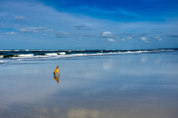 Ameland 53°27'49.429" N 5°41'49.78" E