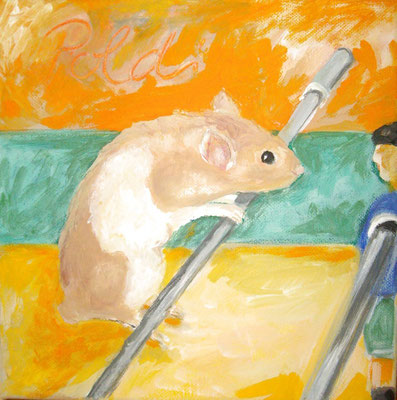 Hamster Poldi  2008; Gouache auf Leinwand;  40x40 cm  Privatbesitz