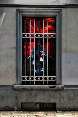 Burkhard Broser