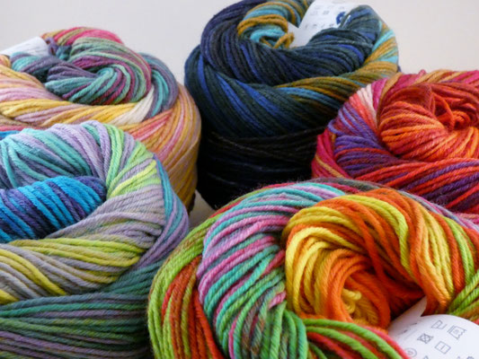 Laines du Nord 6fach Paint Socks