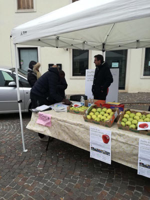 Pieve di Soligo