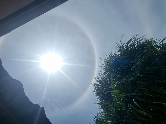Regenbogen à la Thailand