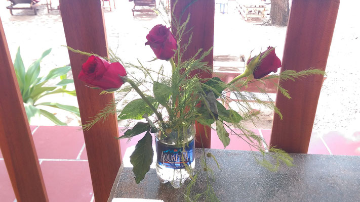 Rosen auf der Terrasse