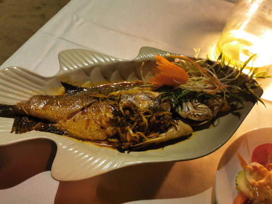 White Snapper am Strand