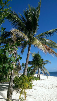 Bounty Beach