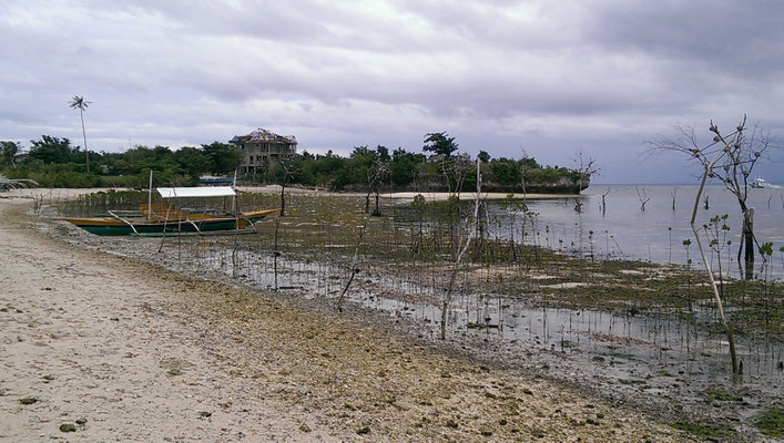 Wiederaufbau nach Taifun Haiyan (2013)