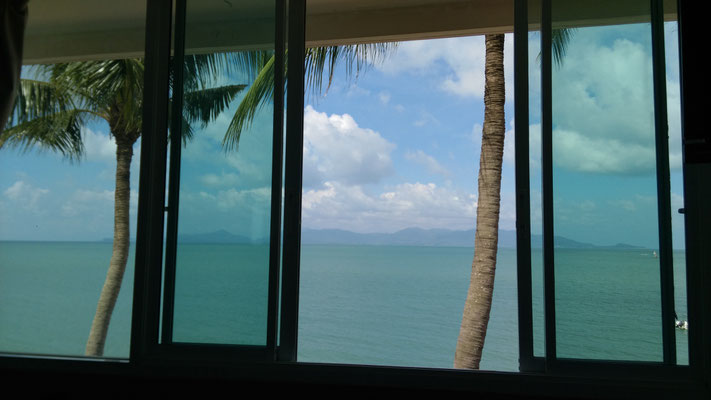 ...mit toller Aussicht (das ist der Blick aus dem Fenster, KEIN Bild)