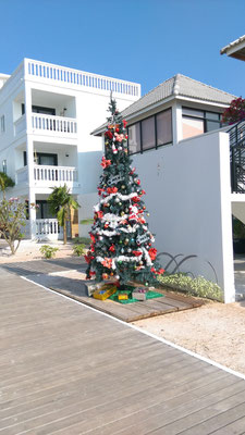 Immer noch Merry Christmas