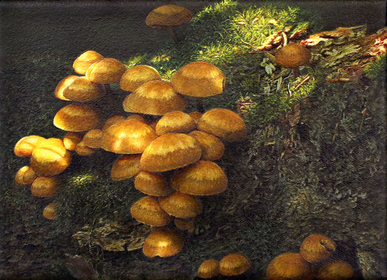 "Stockschwämmchen, Kuehneromyces" Acrylics on Canvas, 13x18cm, 2015